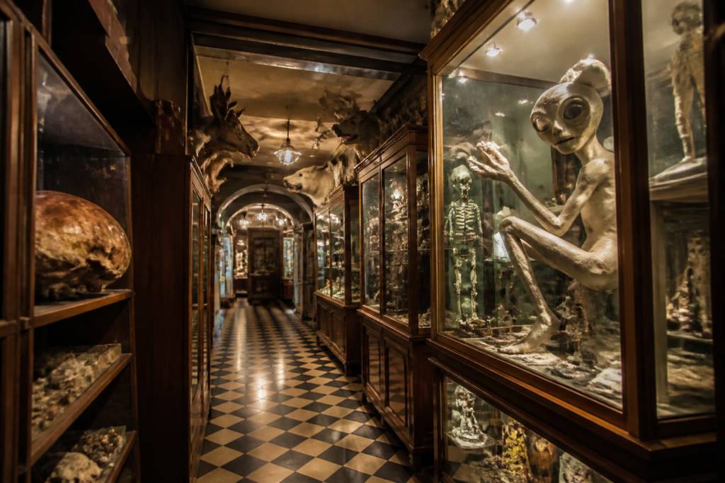 Les musées insolites qui surprennent les visiteurs : visites originales à tester