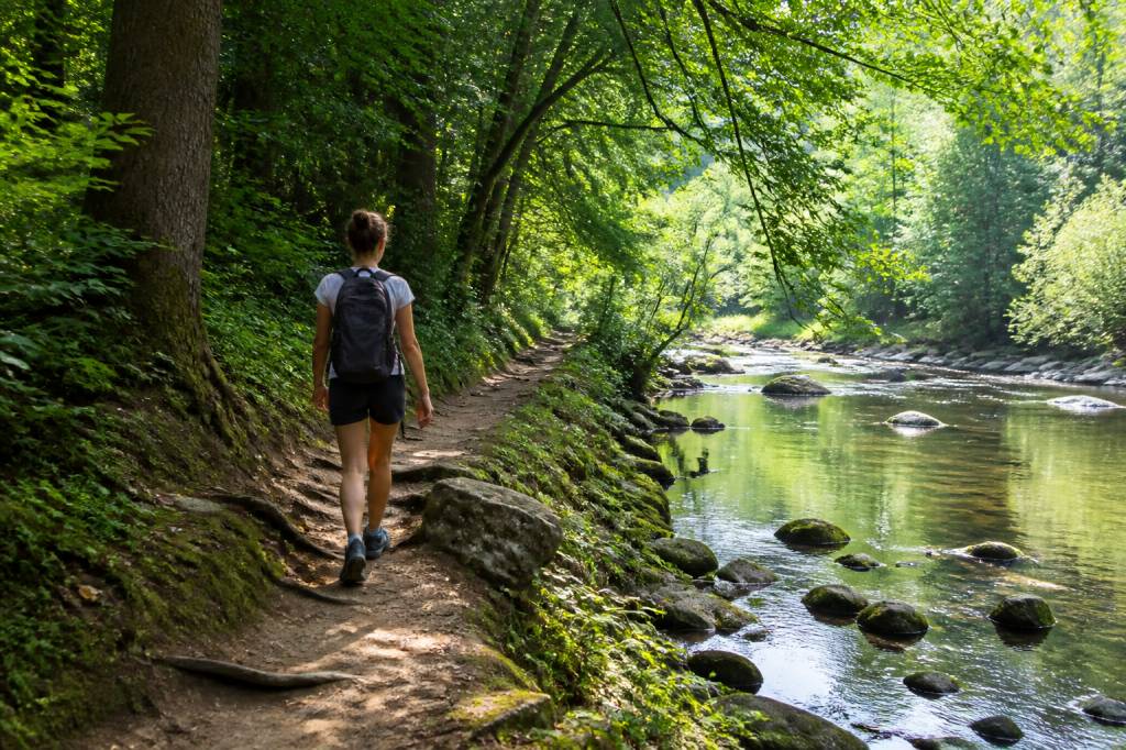 Les sorties nature pour se ressourcer près de chez soi : escapades faciles à organiser