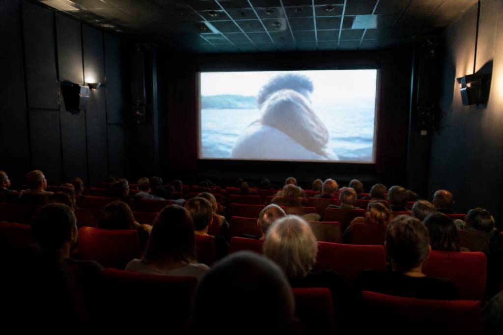 Les cinémas indépendants qui font vivre le septième art : salles à soutenir